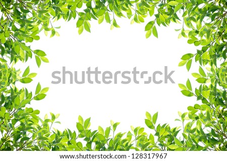 Leaf Border Stock Photos, Images, & Pictures 