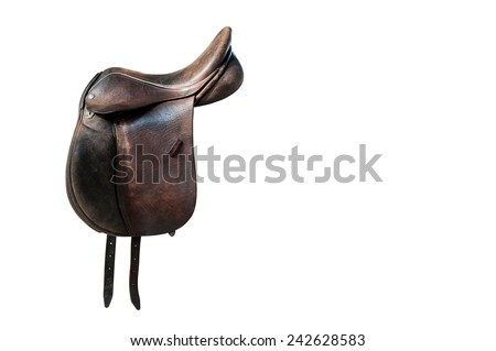 Saddle-horse Stock Photos, Images, & Pictures | Shutterstock