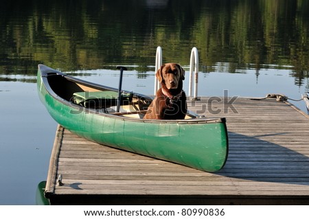 Dog sits in canoe on dock ready to paddle/Let's Paddle - stock photo