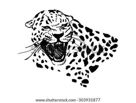 Jaguar Eyes Stock Vectors & Vector Clip Art 