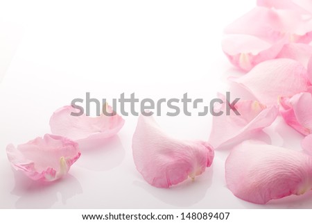 Flower Petals Stock Photos, Images, & Pictures | Shutterstock