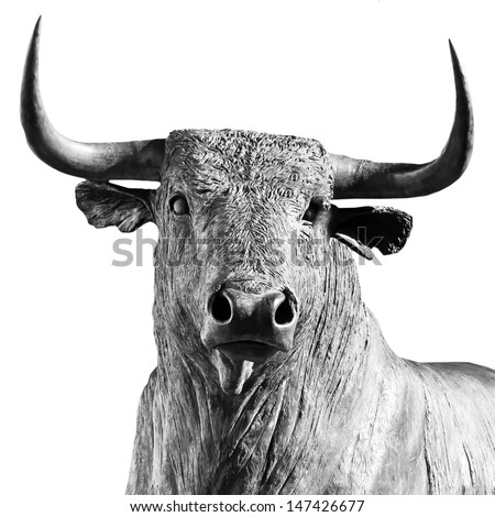 bull on white background - stock photo