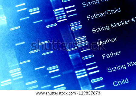DNA fingerprint data on a paper. Macro image. - stock photo