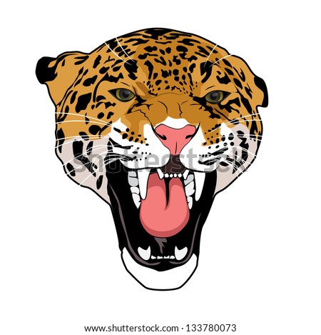 stock images similar to id 146543963 wild cat leopard stock images similar to id 146543963 wild cat leopard