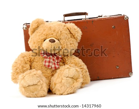 teddy in a suitcase