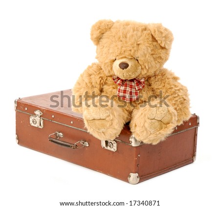 teddy suitcase