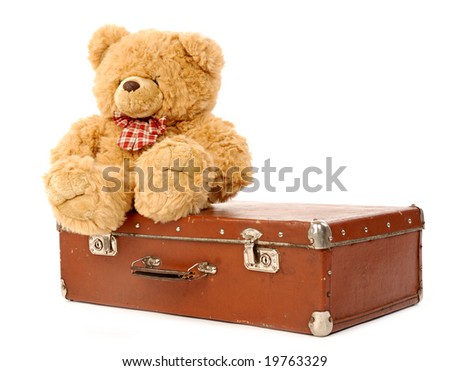 teddy suitcase