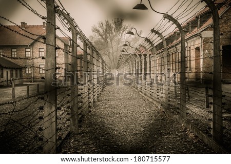 AUSCHWITZ: TOPIC, PICTURES AND INFORMATION - FOLD3.COM