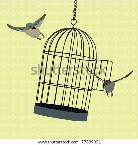 Bird Flying Out Of Cage