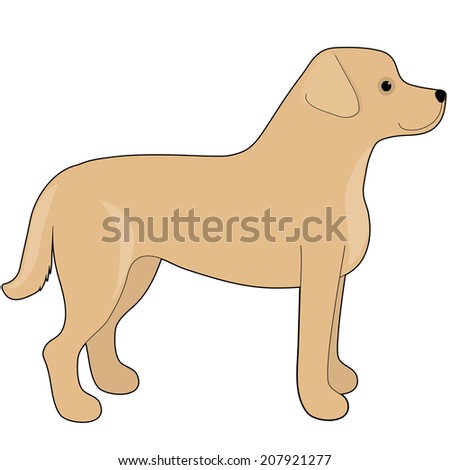 A cartoon illustration of a Labrador Retriever - stock vector