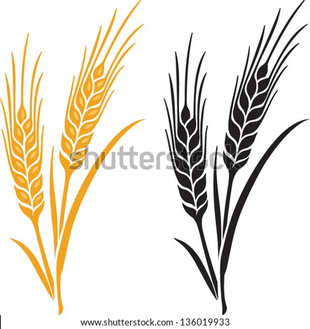 stock-vector-ears-of-wheat-barley-or-rye