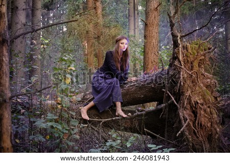 tree witch sitting beautiful woman shutterstock