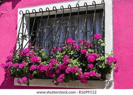 فتح شبابيك للفجر Stock-photo-window-with-flowers-burano-italy-81699112