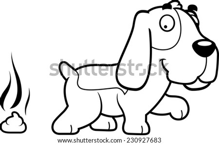 Bloodhound Stock Photos, Images, & Pictures | Shutterstock