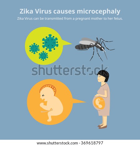 the causes and effects of the zika virus Cdc confirms zika virus causes microcephaly represent the tip of the iceberg of what we could see in damaging effects on the brain and other developmental. the causes and effects of the zika virus Cdc confirms zika virus causes microcephaly represent the tip of the iceberg of what we could see in damaging effects on the brain and other developmental.