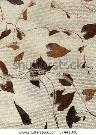 Watercolor Vines Stock Photos, Images, & Pictures | Shutterstock