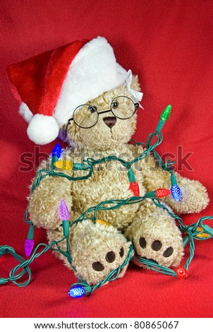 teddy bear christmas lights