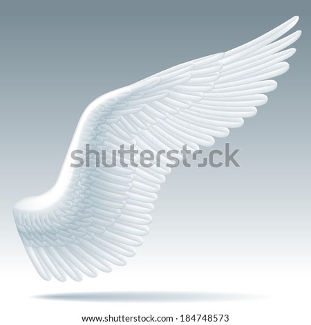 Bird Wings Stock Photos, Images, & Pictures | Shutterstock