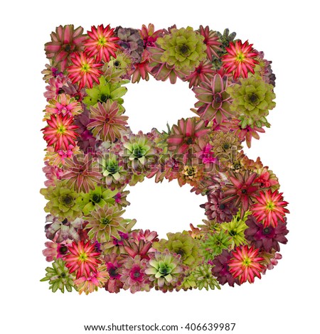 Letter B Made Of Flowers Stock Photos, Images, & Pictures | Shutterstock