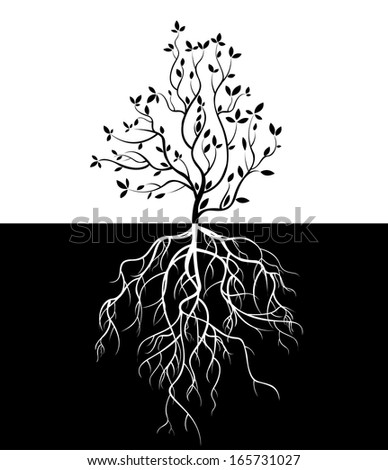 tree with roots isolated white background vector - stock vector