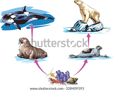 Animal Food Chain Stock Photos, Images, & Pictures 