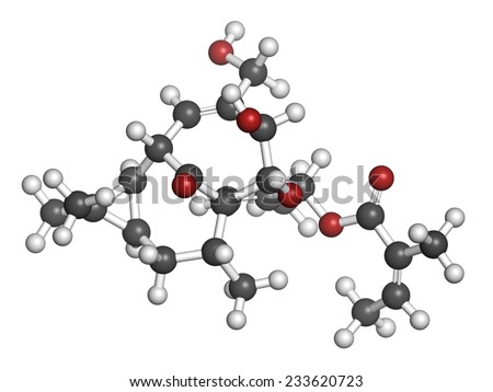 safe take amoxicillin 875 mg during pregnancy safe take amoxicillin 875 mg during pregnancy