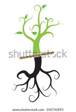 Young plant with root, vector - stock vector