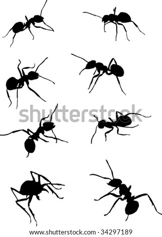 Ant Silhouette Stock Photos, Images, & Pictures 