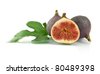 symbolism in ripe figs Know your figs kadota fig medium use ripe figs as soon as possible or store in refrigerator for up to 3 days the fig tree is the symbol of abundance. symbolism in ripe figs Know your figs kadota fig medium use ripe figs as soon as possible or store in refrigerator for up to 3 days the fig tree is the symbol of abundance.