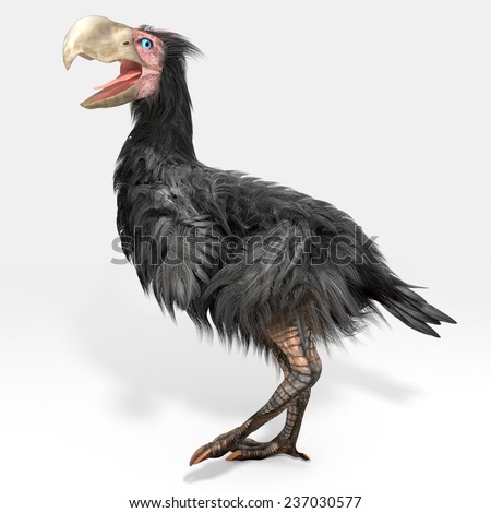 Extinct bird Stock Photos, Images, & Pictures | Shutterstock