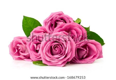 bouquet of pink roses isolated on white - stock photo
