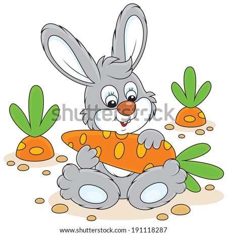 White Rabbit Stock Photos, Images, & Pictures | Shutterstock