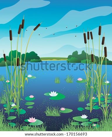 Cattail Stock Photos, Images, & Pictures | Shutterstock