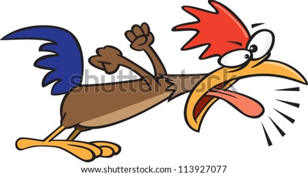 Rooster crowing in the morning Stock Photos, Images, & Pictures ...