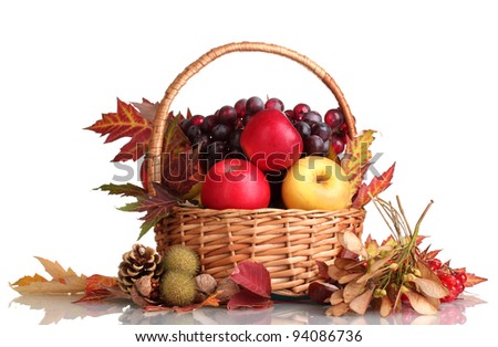 beautiful autumn harvest in basket and leaves isolated on white - stock ...