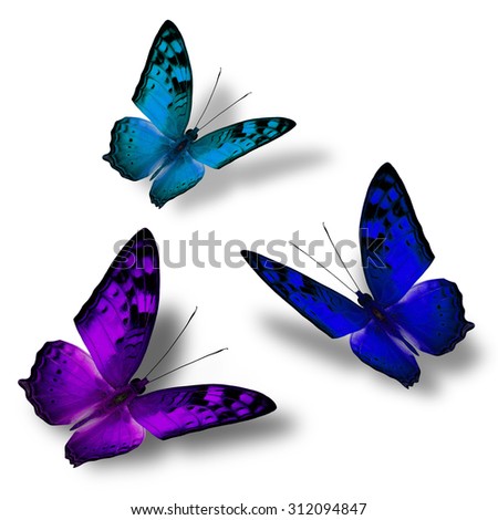 Set of beautiful flying purple and blue and green butterflies on white ...