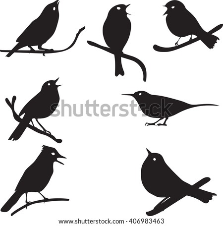 Bird Robin Silhouette Stock Photos, Images, & Pictures | Shutterstock