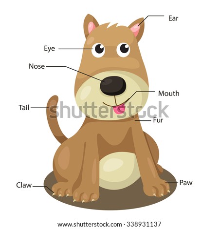 Cartoon Body Parts Stock Photos, Images, & Pictures | Shutterstock