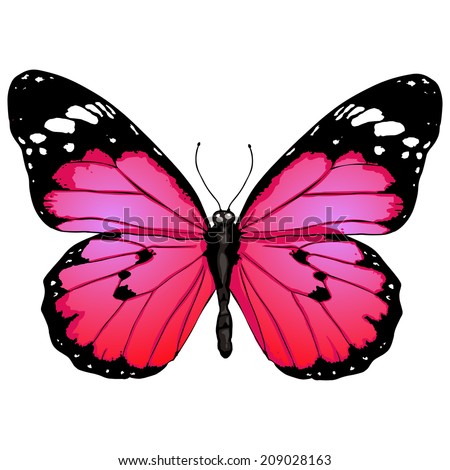 Pink butterfly flying Stock Photos, Images, & Pictures | Shutterstock