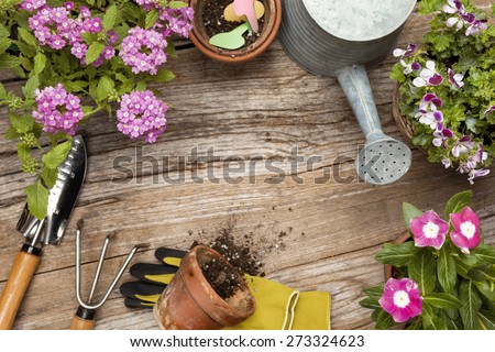 Garden Stock Photos, Images, & Pictures | Shutterstock
