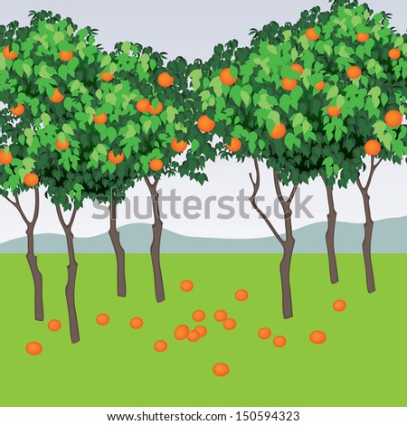 Citrus Orchard Stock Illustrations & Cartoons | Shutterstock