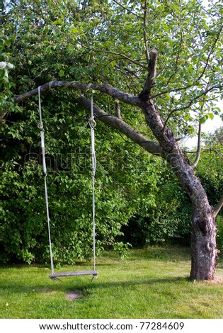 Empty Toy Swing in apple tree - stock photo