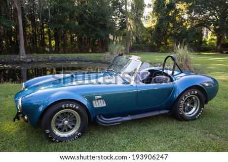 Cobra Car Stock Photos, Images, & Pictures | Shutterstock