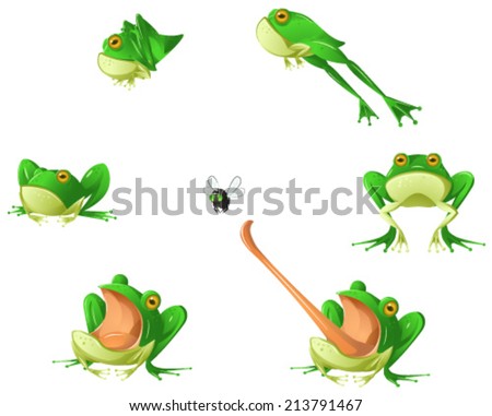 Frog Tongue Stock Photos, Images, & Pictures | Shutterstock