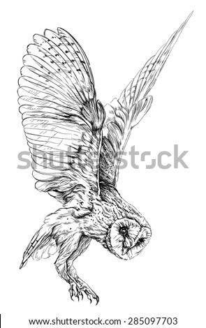 Owl Flying Stock Photos, Images, & Pictures | Shutterstock