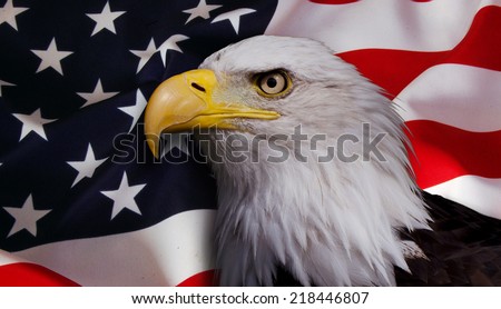 Eagle with usa flag Stock Photos, Images, & Pictures | Shutterstock