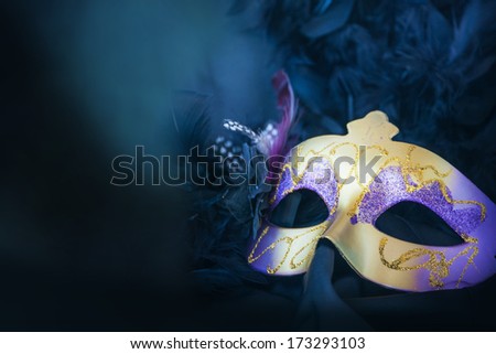 Masquerade Ball Stock Photos, Images, & Pictures | Shutterstock