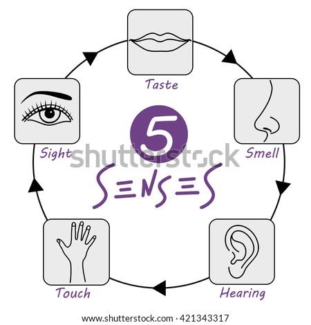 Senses Icon Stock Photos, Images, & Pictures | Shutterstock