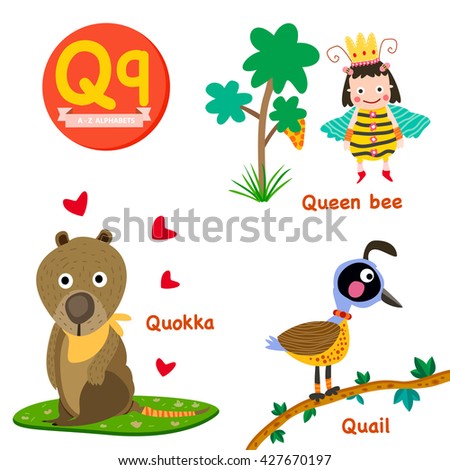 Quokka Stock Photos, Images, & Pictures | Shutterstock