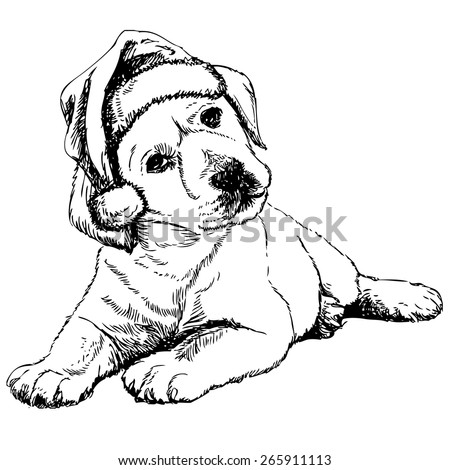 Beagle Christmas Hat Puppy Stock Photos, Images, & Pictures | Shutterstock